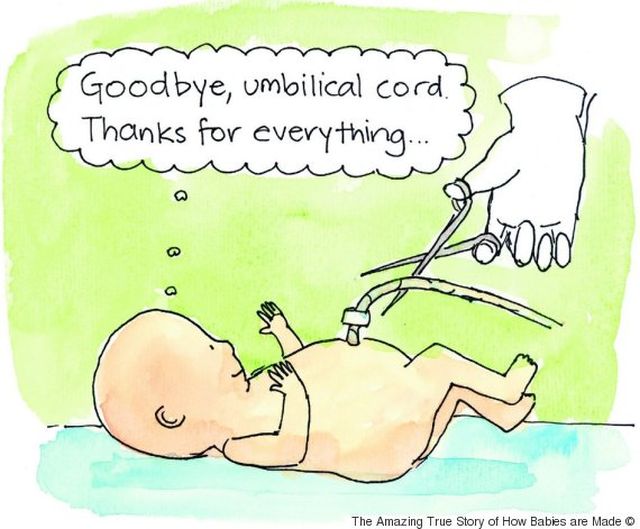 A könyv, ami elmagyarázza a spermadonációt, inszeminációt és császármetszést is a gyerekeknek