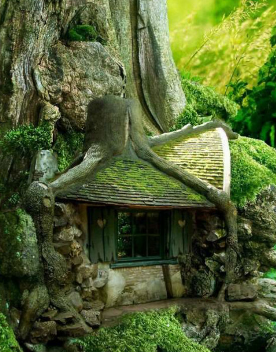 és egy másik, ugyancsak fába 