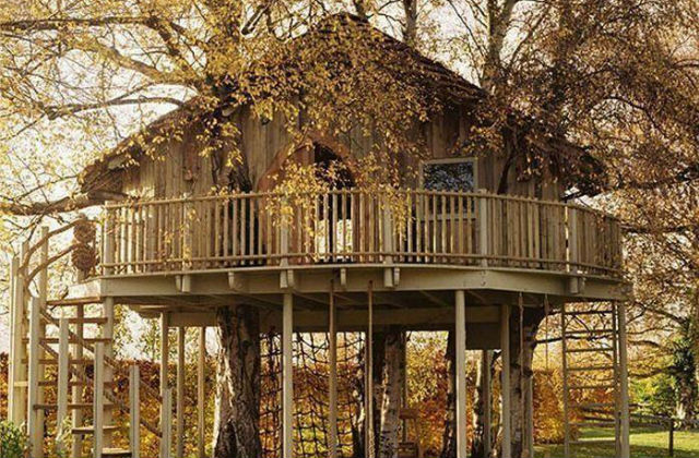 És hogy valami klasszikus is legyen: lombház