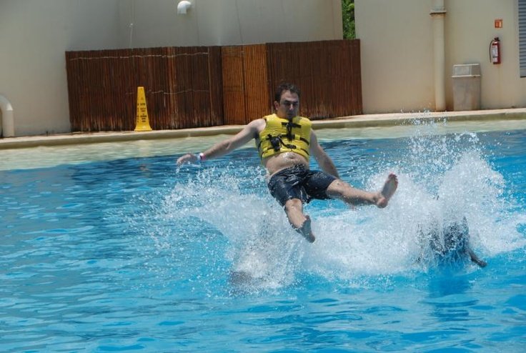 Félresikerült találkozások delfinekkel