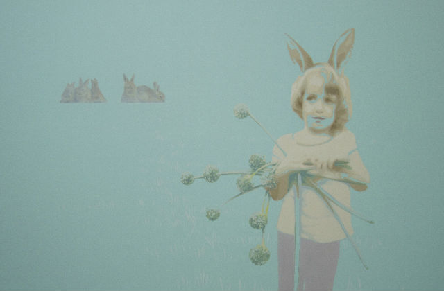 Nyuszifülek és nyuszik mindenhol