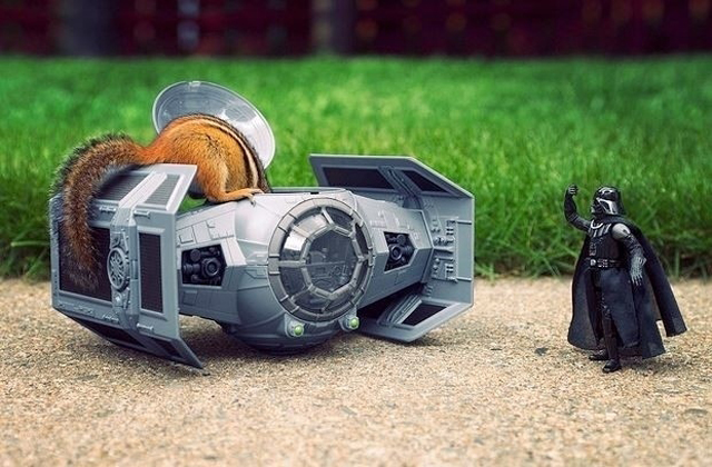Ilyen lenne a Csillagok háborúja, ha mókusokkal forgatják - fotók