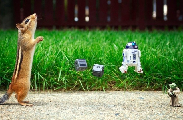 Ilyen lenne a Csillagok háborúja, ha mókusokkal forgatják - fotók