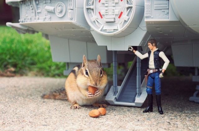 Ilyen lenne a Csillagok háborúja, ha mókusokkal forgatják - fotók