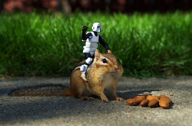 Ilyen lenne a Csillagok háborúja, ha mókusokkal forgatják - fotók