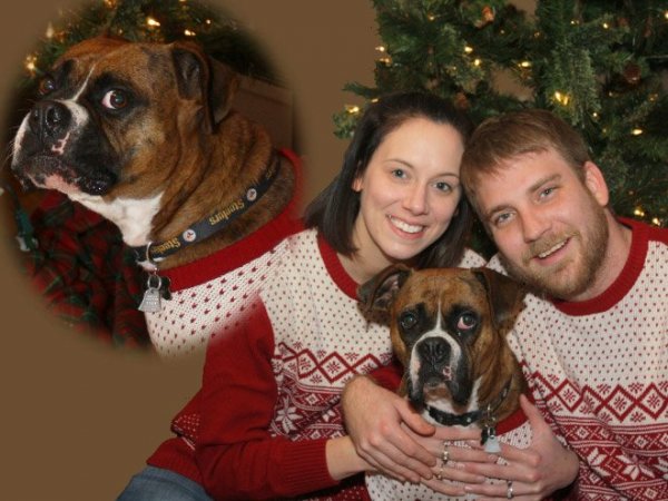 Elfuserált képek kedvencekről és gazdáikról