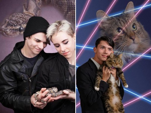 Elfuserált képek kedvencekről és gazdáikról