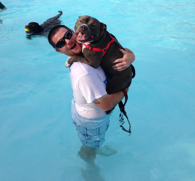 16 kutya, aki csak arra vár, hogy megölelgessék őket - cuki fotók