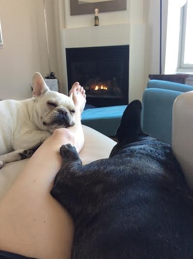 16 kutya, aki csak arra vár, hogy megölelgessék őket - cuki fotók