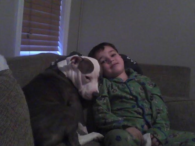 16 kutya, aki csak arra vár, hogy megölelgessék őket - cuki fotók