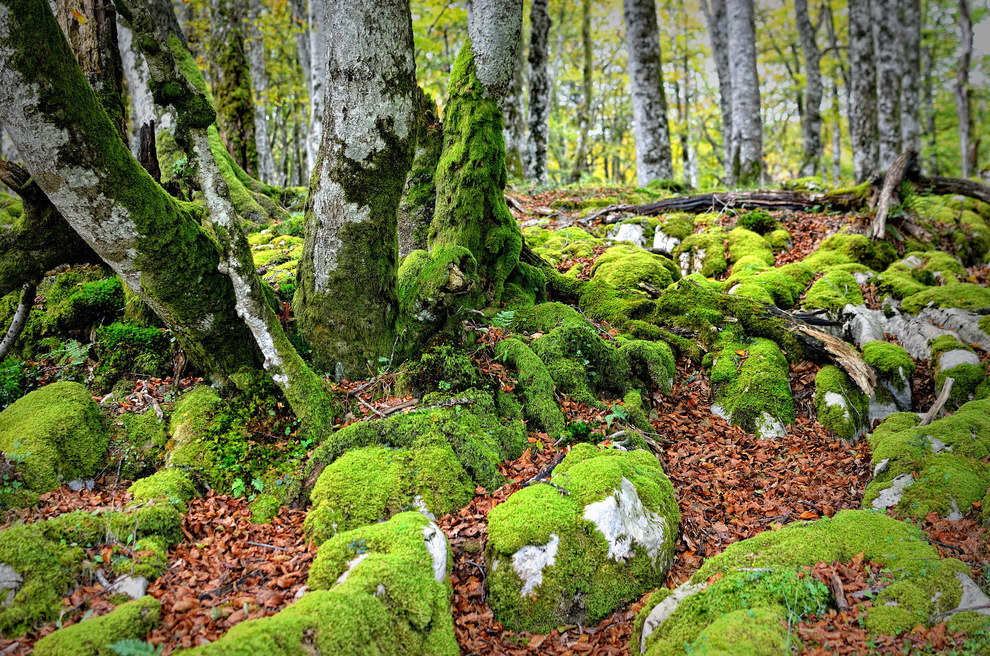 21 hely, amit látnod kell Spanyolországban - csodás képek