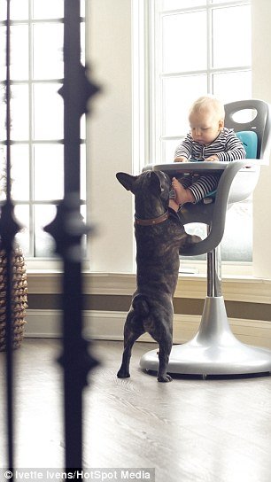 Egy kisbaba legjobb barátja - nagyon megható