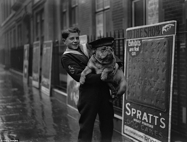 Cukiság retró: ilyen volt egy kutyakiállítás száz évvel ezelőtt