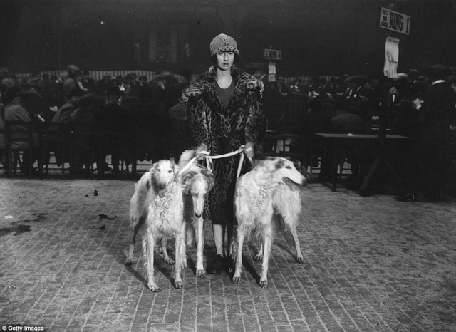 Cukiság retró: ilyen volt egy kutyakiállítás száz évvel ezelőtt