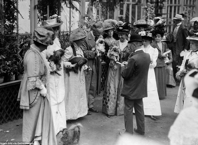 Cukiság retró: ilyen volt egy kutyakiállítás száz évvel ezelőtt