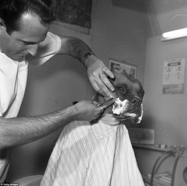 Cukiság retró: ilyen volt egy kutyakiállítás száz évvel ezelőtt