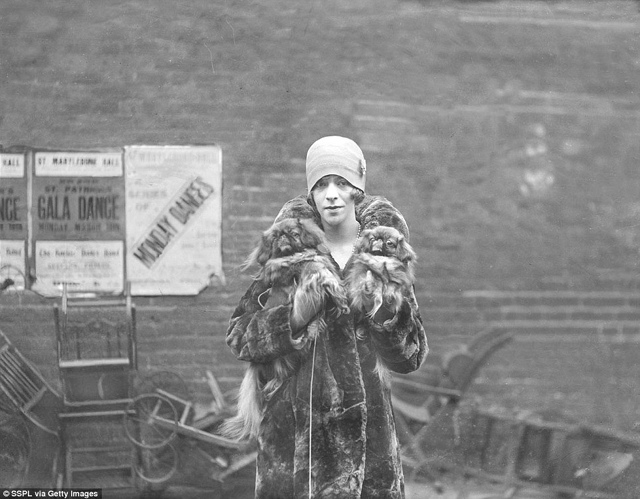 Cukiság retró: ilyen volt egy kutyakiállítás száz évvel ezelőtt