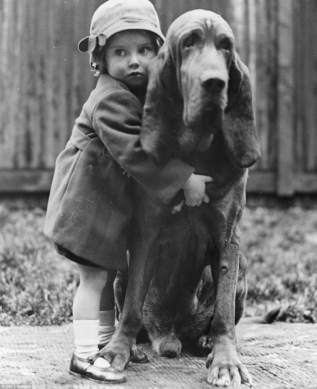 Cukiság retró: ilyen volt egy kutyakiállítás száz évvel ezelőtt