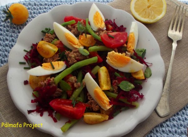 Paradicsomos, zöldbabos, céklás tonhalsaláta, próbáld ki!