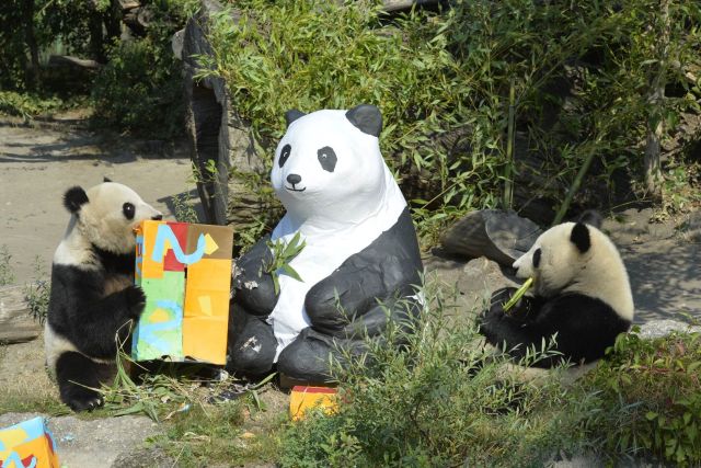 Copyright: Norbert Potensky / Tiergarten Schönbrunn