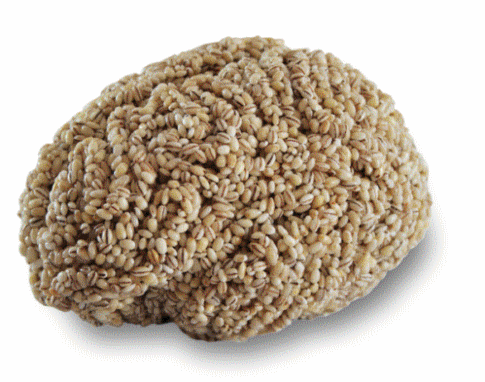 Az intelligens emberek tovább élnek