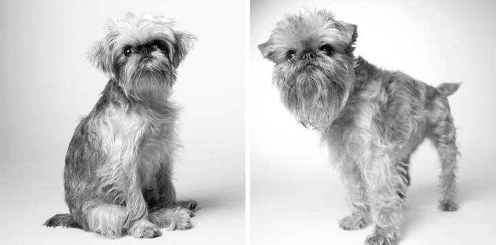 Briscoe, 1 year and 10 years.