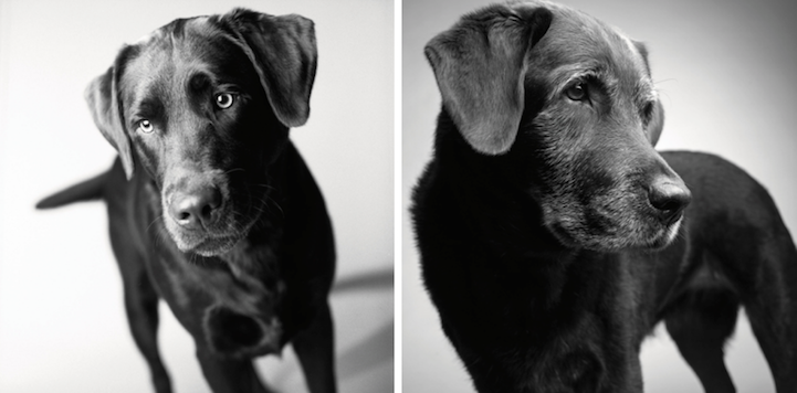 Corbet, 2 years and 11 years.