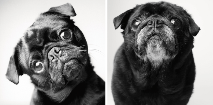 Fred 2 és 10 évesen