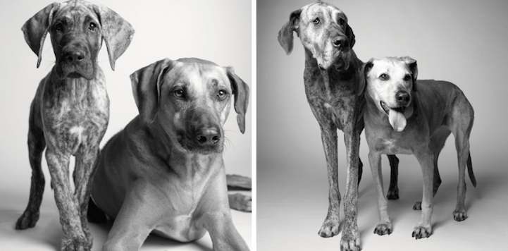 Kayden, 11 months and 7 years. Brodie, 5 years and 12 years.