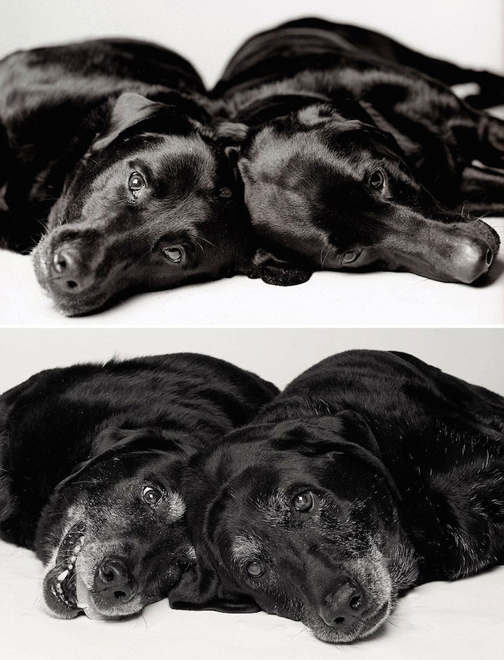 Maddie, 7 years and 14 years. Ellie, 6 years and 13 years.