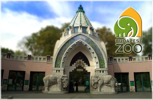 Állatkertek Éjszakája - lesd meg éjjel az állatokat