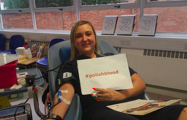 Polishblood - vérüket adják a lengyel migránsok Polishblood - vérüket adják a lengyel migránsok