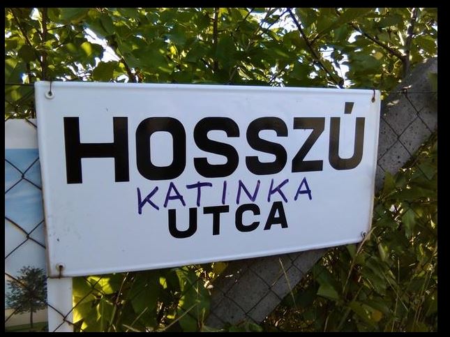 Nyilvánosan vallott szerelmet Hosszú Katinka