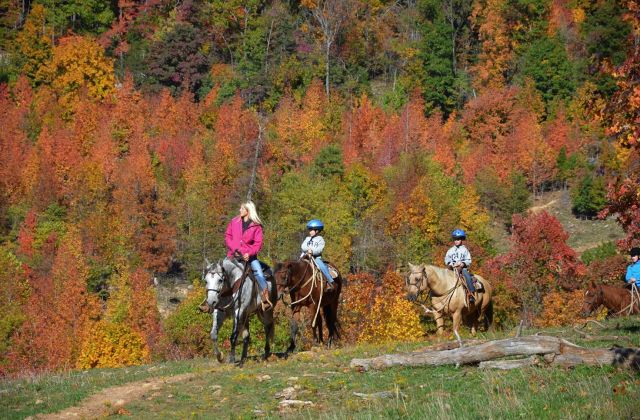 Sportok, amiket ősszel érdemes kipróbálni Sportok, amiket ősszel érdemes kipróbálni