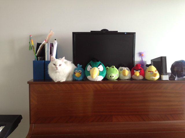 21 állat, akik másnak gondolják magukat - vicces képek