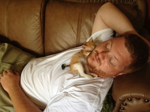 21 állat, akik másnak gondolják magukat - vicces képek