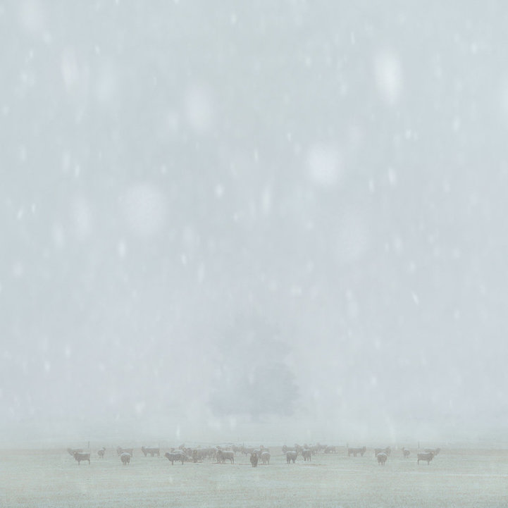 Vihar, köd, hullámok - 2015 legszebb tájfotóit hoztuk el Vihar, köd, hullámok - 2015 legszebb tájfotóit hoztuk el