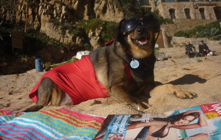 Íme a 10 legjobb fotó nyaralós fotó tőletek!