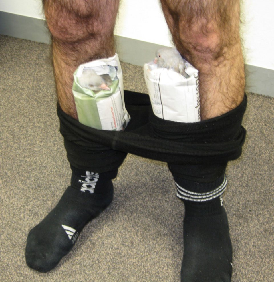 5 elképesztő dolog, amit megpróbáltak átcsempészni a repülőtéren