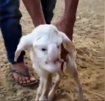 9 dermesztő bizonyíték, hogy szeptember 28-án itt a világvége 9 dermesztő bizonyíték, hogy szeptember 28-án itt a világvége