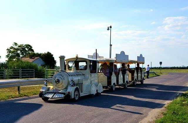 Sebestyén Andrásék egyik kis elektromos vonata. Fotó: eszterhaziexpress.hu