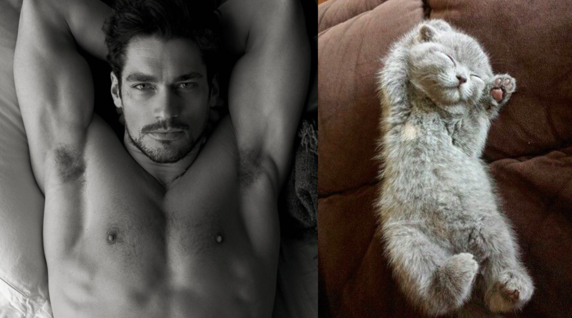 A nap legjobb képei: pasik és macskák, akik hasonlítanak egymásra