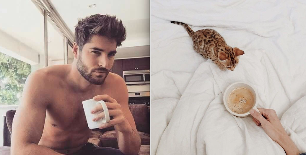 A nap legjobb képei: pasik és macskák, akik hasonlítanak egymásra