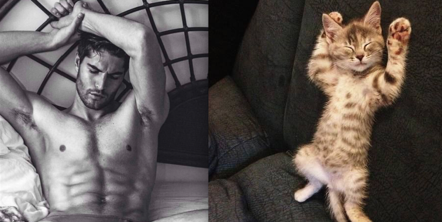 A nap legjobb képei: pasik és macskák, akik hasonlítanak egymásra