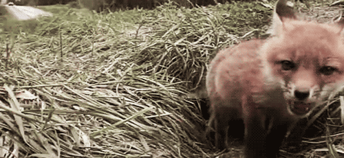 7-kor kelt, hogy odaérjen az erdei iskolába :(