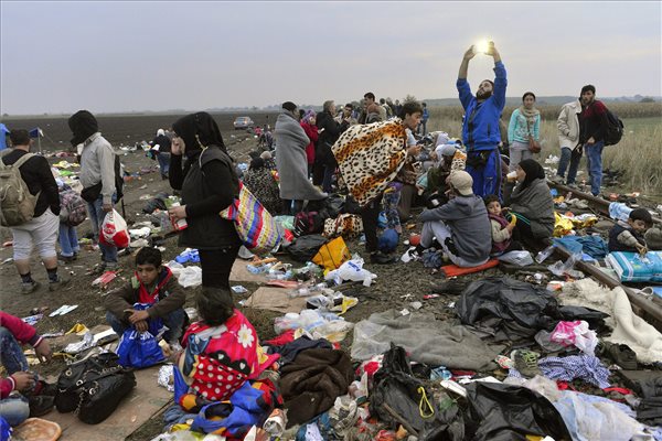 Migránsok a magyar-szerb határon - MTI Fotó: Molnár Edvárd