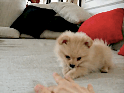 27 dolog, ami jobb, mint az állandó tévézés és sorozatnézés 27 dolog, ami jobb, mint az állandó tévézés és sorozatnézés