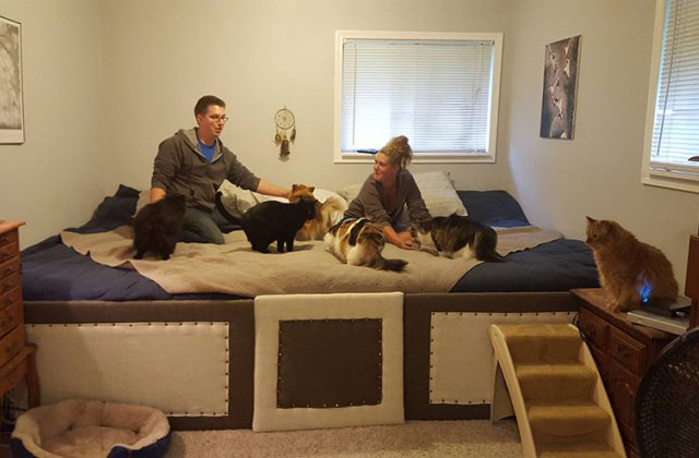 Óriáságyat építettek hogy az állataik is velük alhassanak