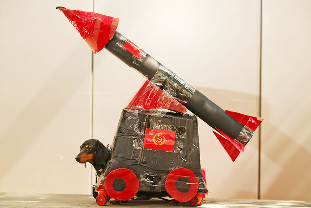 Megőrülsz: ruhás tacskók versenyeztek! 