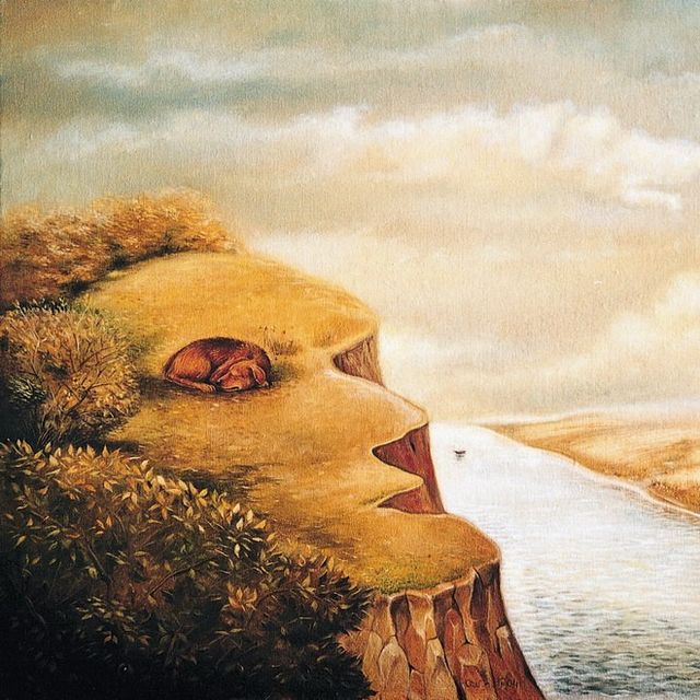 arc, kutya, szakadék